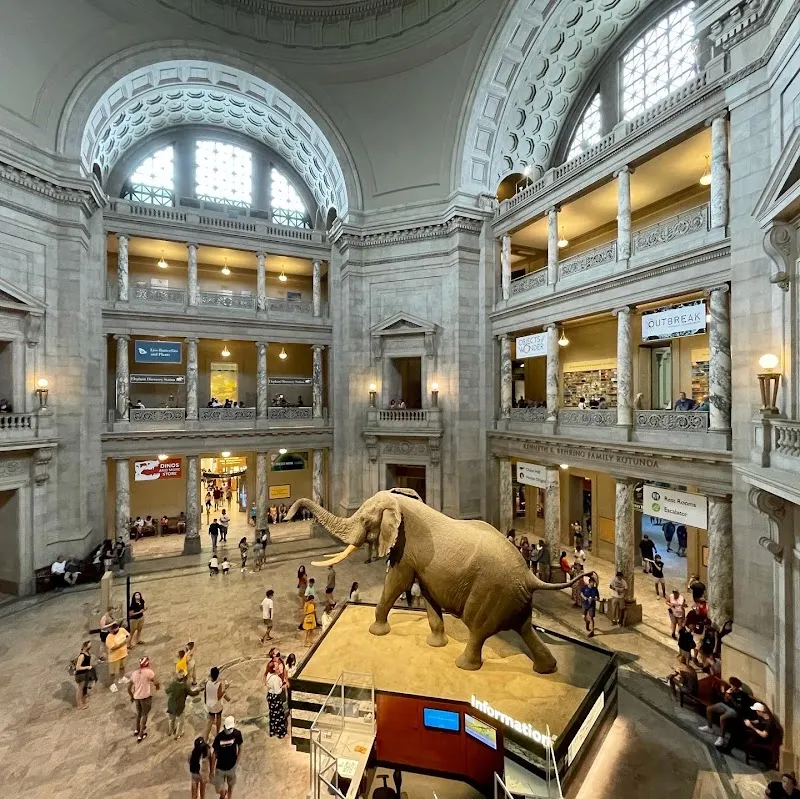 Smithsonian National Museum of Natural History tourist attraction in Washington DC, DC