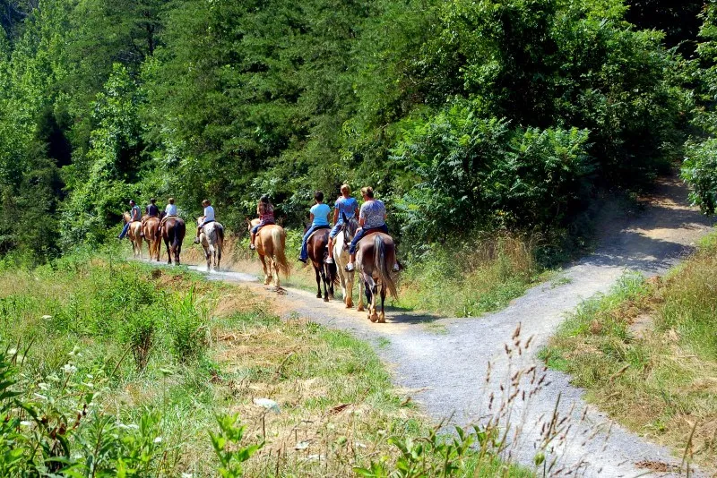 Smoky Mountain Deer Farm and Exotic Petting Zoo zoo in Pigeon Forge, TN