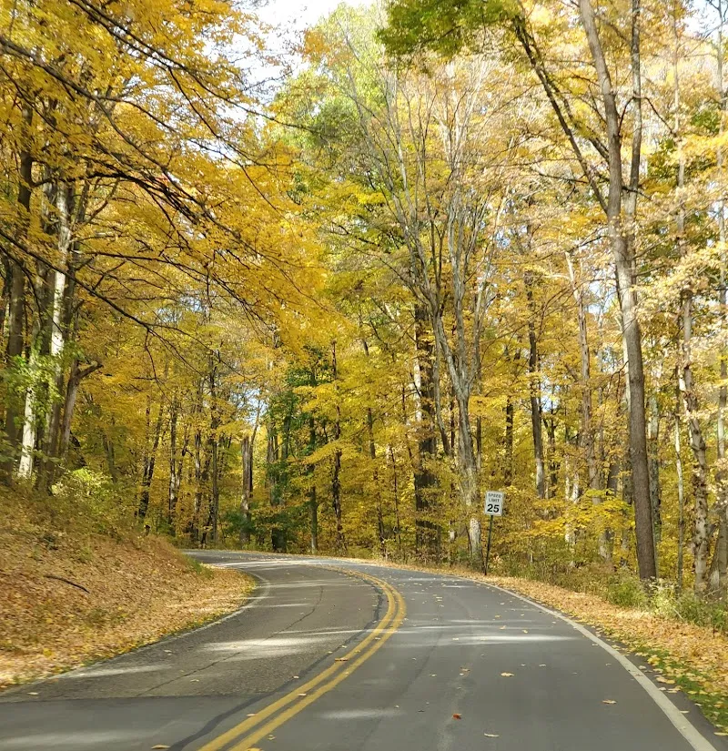 South Park Township administrative area level 3 in Bethel Park, PA