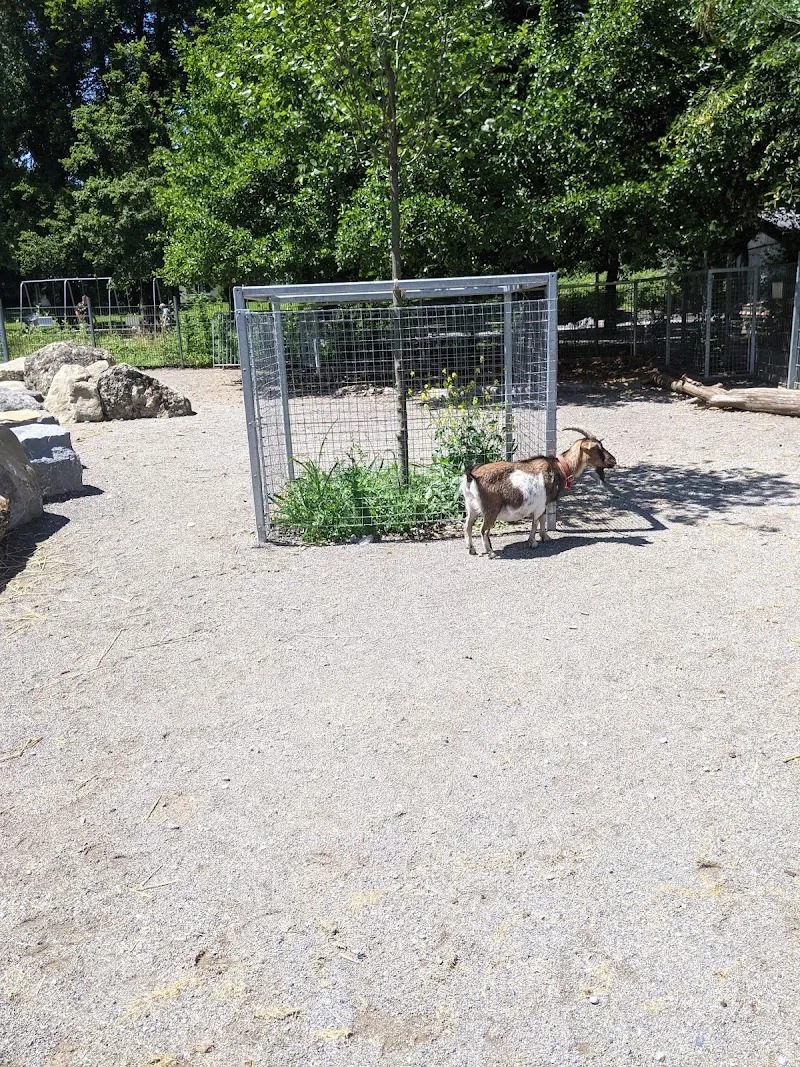 Spielplatz Bachwiesen playground in Altstetten, ZH