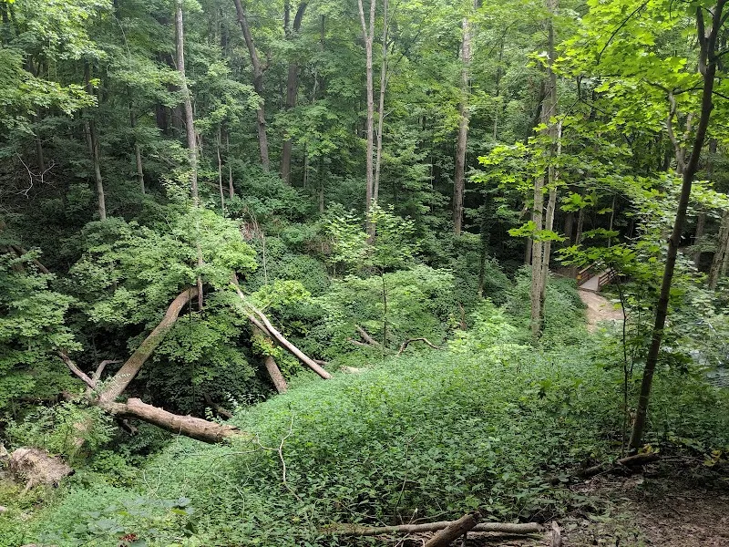 Starkey Park park in Zionsville, IN