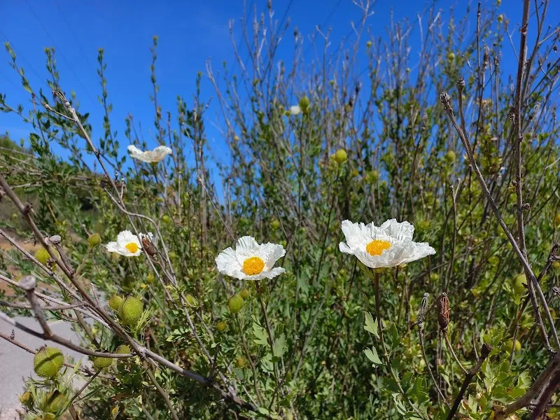 Stevens Creek Trail route in Mountain View, CA