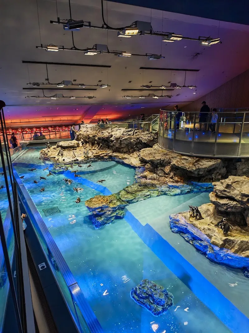 Sumida Aquarium aquarium in Tokyo, TK