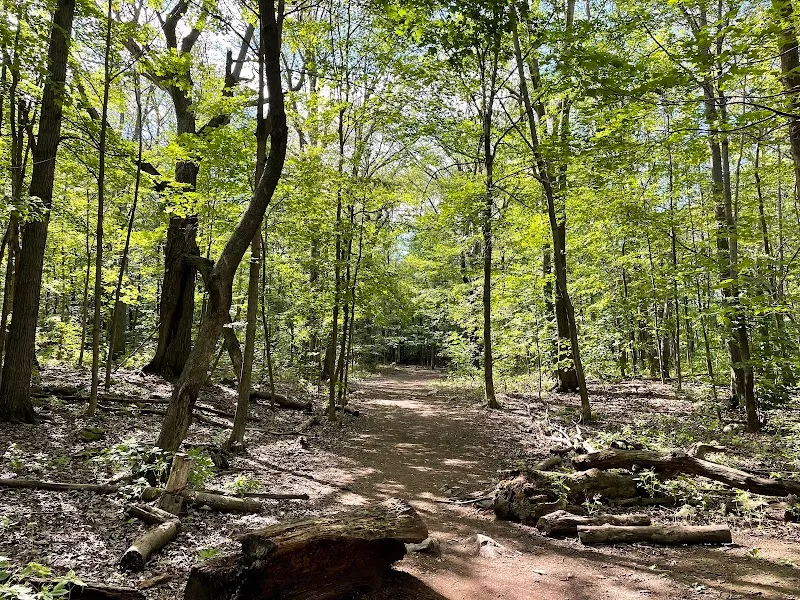 Summit Woods park in Westmount, QC
