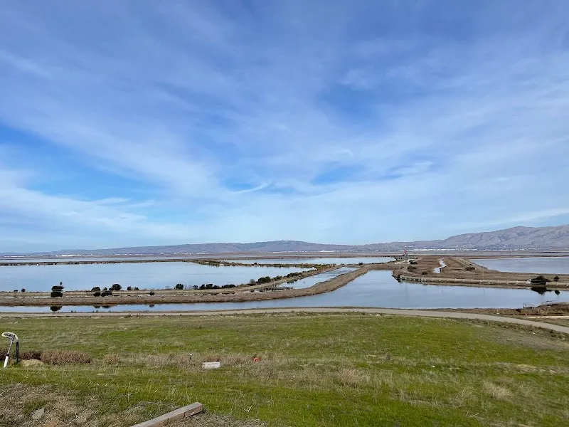 Sunnyvale Bay Trail hiking area in Newark, CA