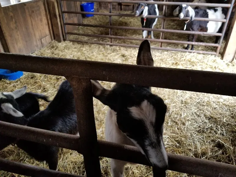 Sunrock Farm farm in Cincinnati, OH