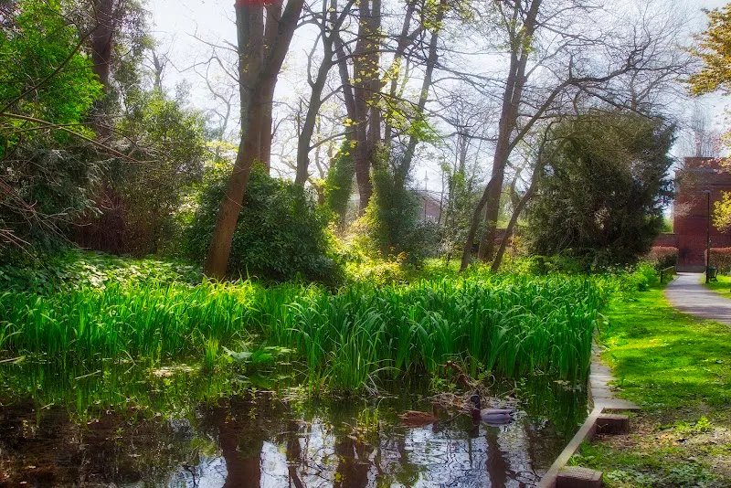 Sutton Ecology Centre Grounds nature preserve in Sutton, London