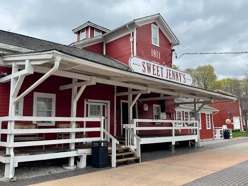 Sweet Jenny's Ice Cream & Frozen Yogurt in Elmwood Village, NY