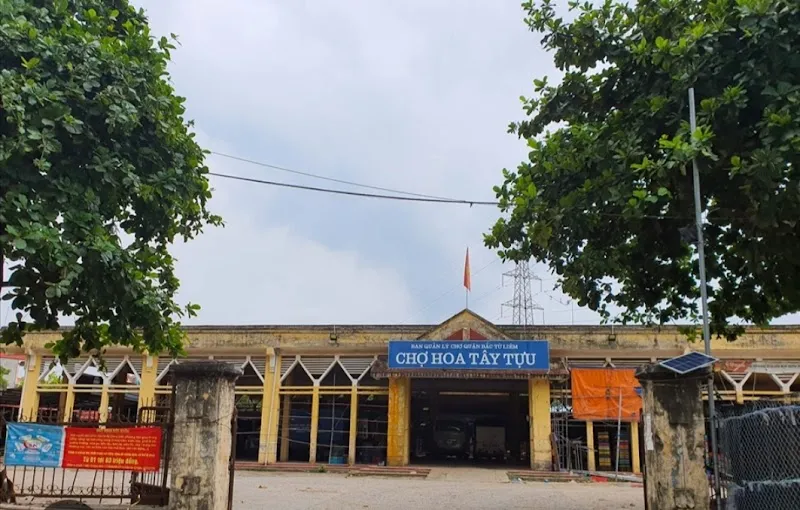 Tây Tựu Flower Market market in Tây Hồ, HN