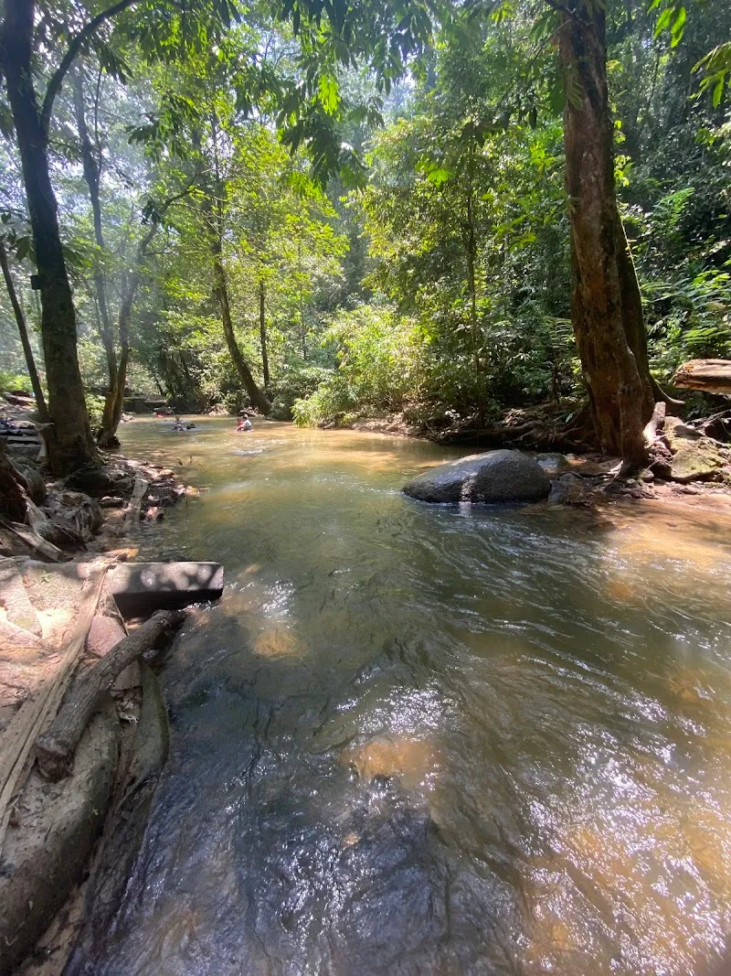 Taman Rimba Ampang Hilir park in Ampang, SG