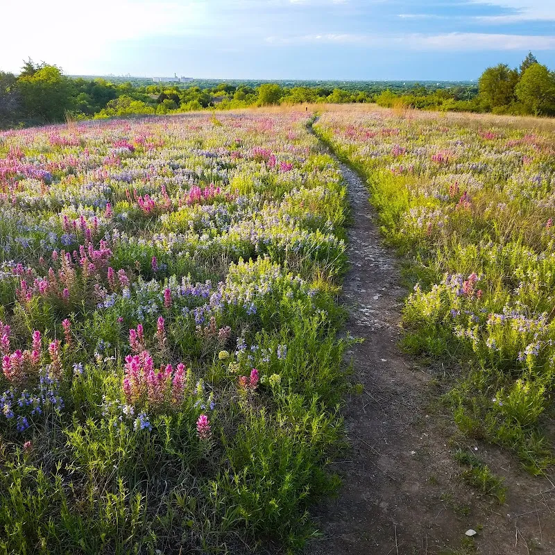 Tandy Hills Natural Area / Stratford Nature Area park in Fort Worth, TX