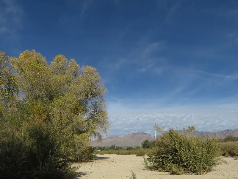 Tanque Verde Creek lake in Tanque Verde, AZ
