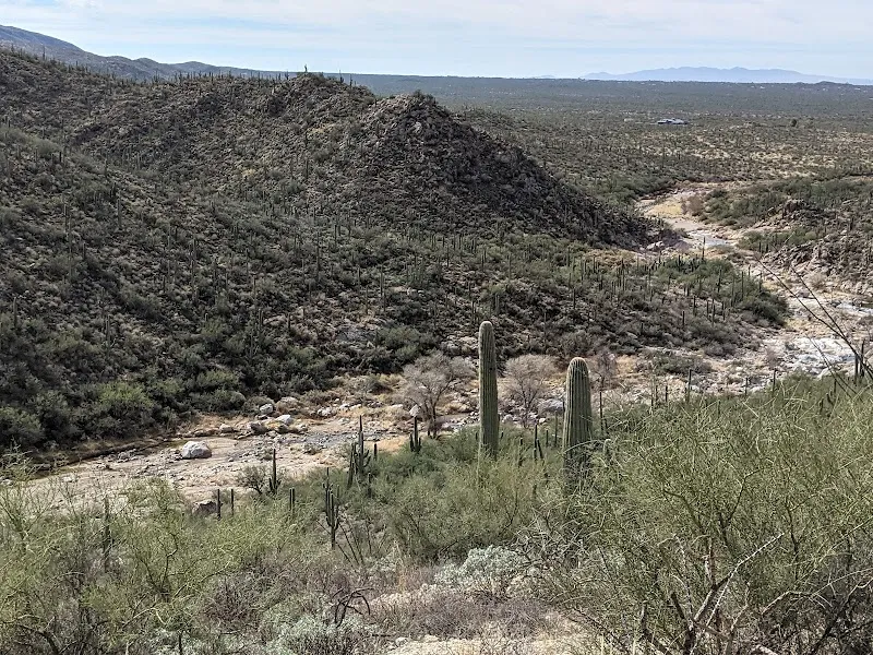 Tanque Verde Falls Trail route in Tanque Verde, AZ