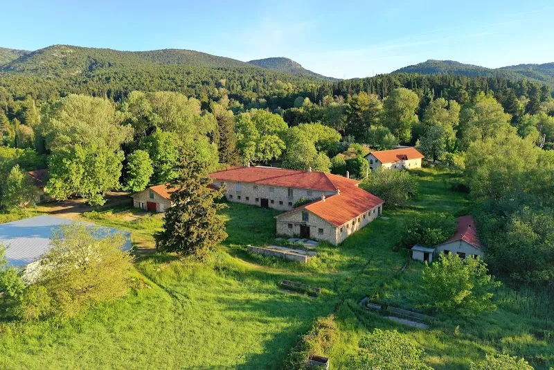 Tatoi Forest national park in Acharnes, AT