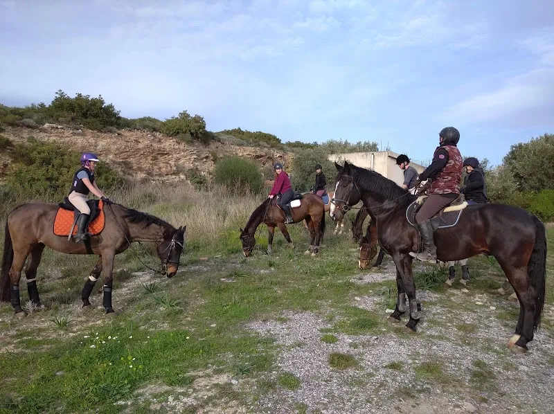 Tatoi National Equestrian Club in Pallini sports coaching in Pallini, AT