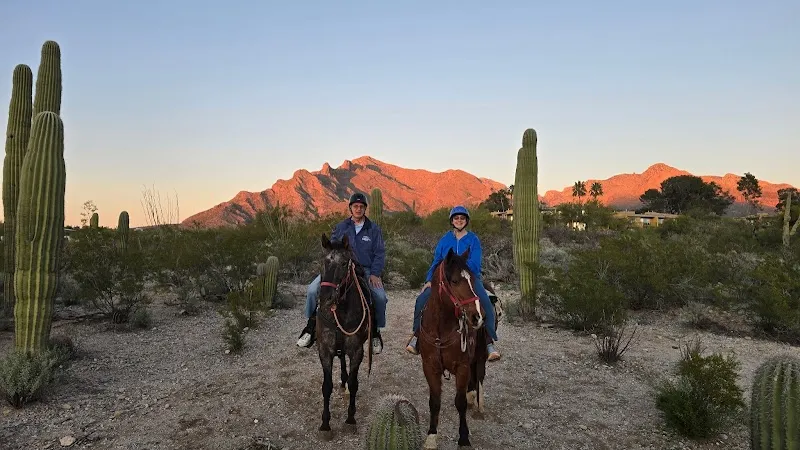 Tattered Saddle - Westward Look Stables tour agency in Picture Rocks, AZ