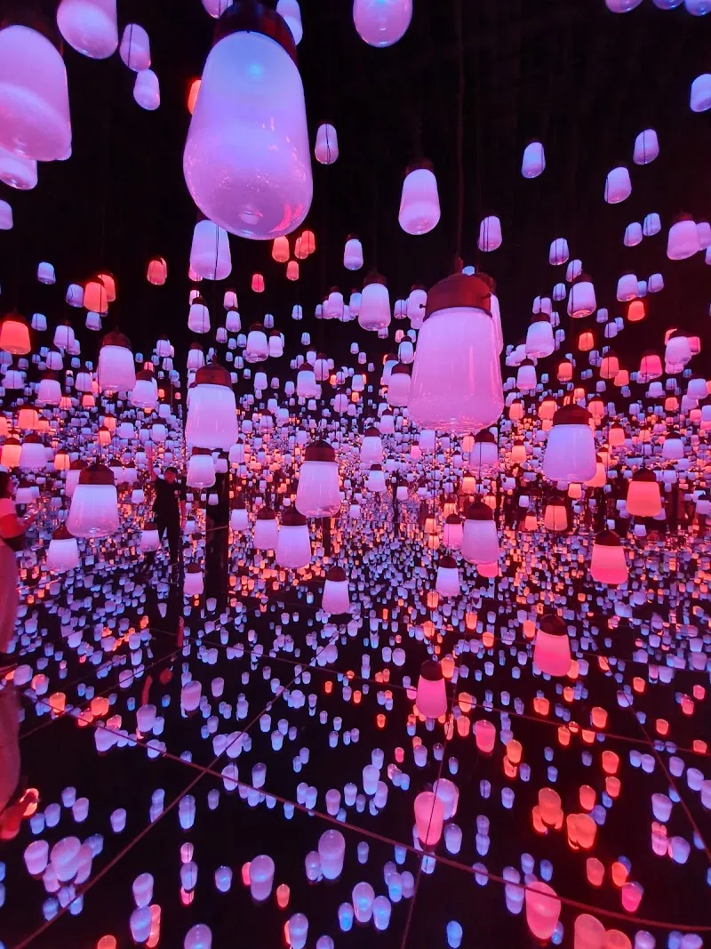 teamLab Borderless: MORI Building DIGITAL ART MUSEUM art museum in Tokyo, TK