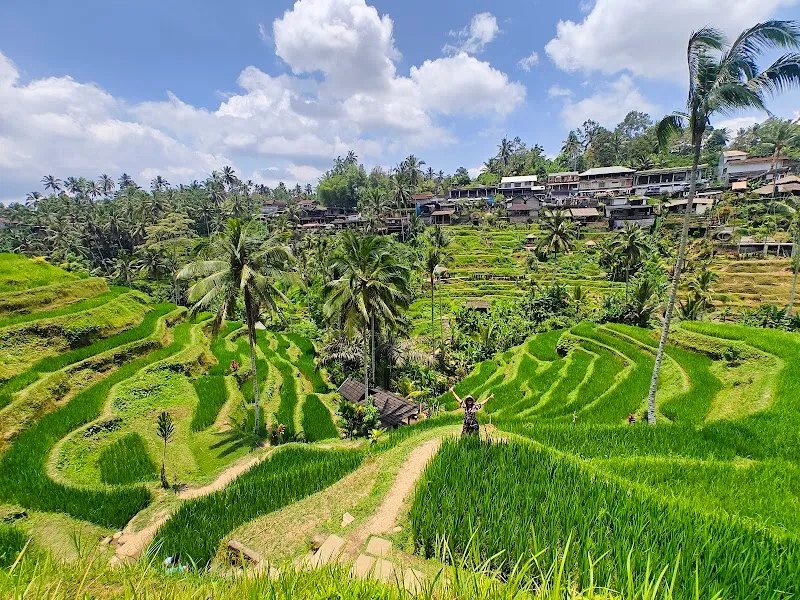 Tegallalang Rice Terrace scenic spot in Ubud, Bali