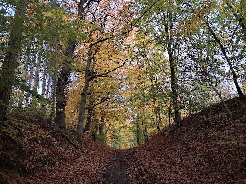 Tervuren bos hiking area in Tervuren, VBR