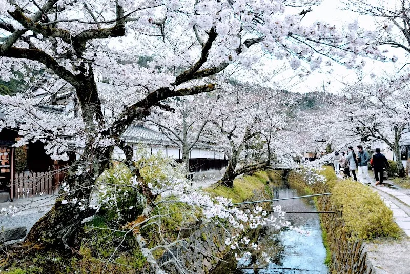 Tetsugaku No Michi route in Kyoto, KT