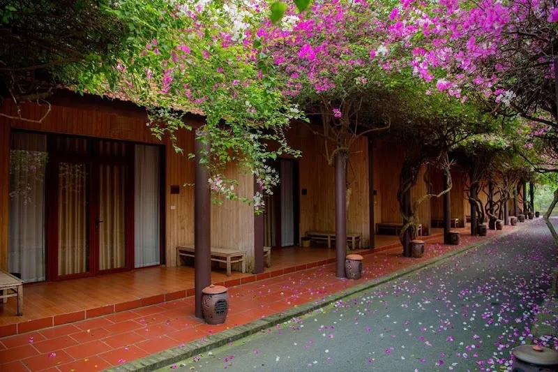 Thảo viên Resort resort hotel in Sơn Tây, HN