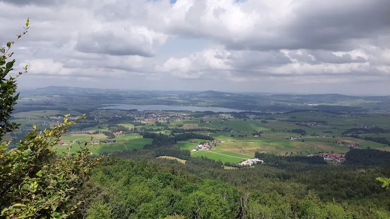Thalgau Forest Trails (Thalgauer Waldwege) outdoor adventure in Thalgau, Salzburg
