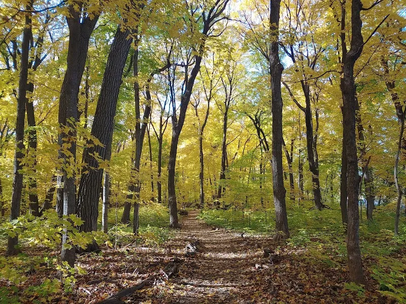 The Big Woods Preserve park in Wayzata, MN