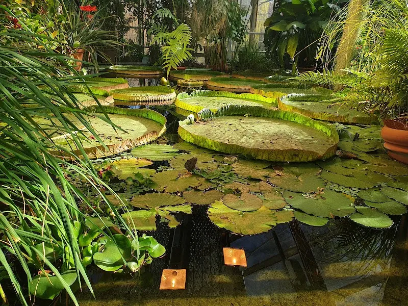 The Botanical Garden botanical garden in Tøyen, Oslo