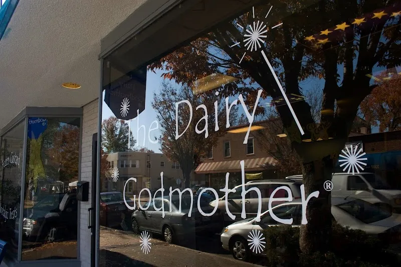 The Dairy Godmother Ice Cream & Frozen Yogurt in Herndon, VA