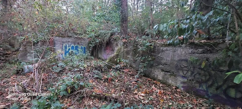 The Des Moines Creek Trail route in SeaTac, WA