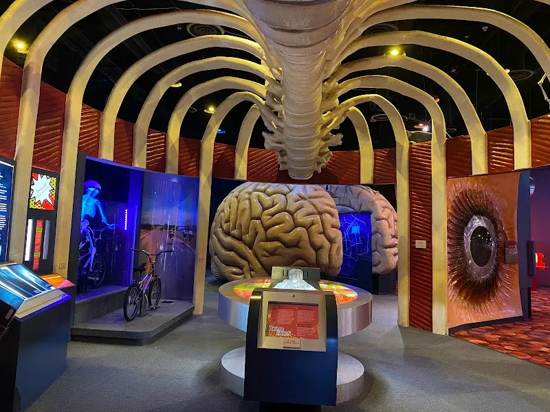 The Health Museum museum in Houston, TX