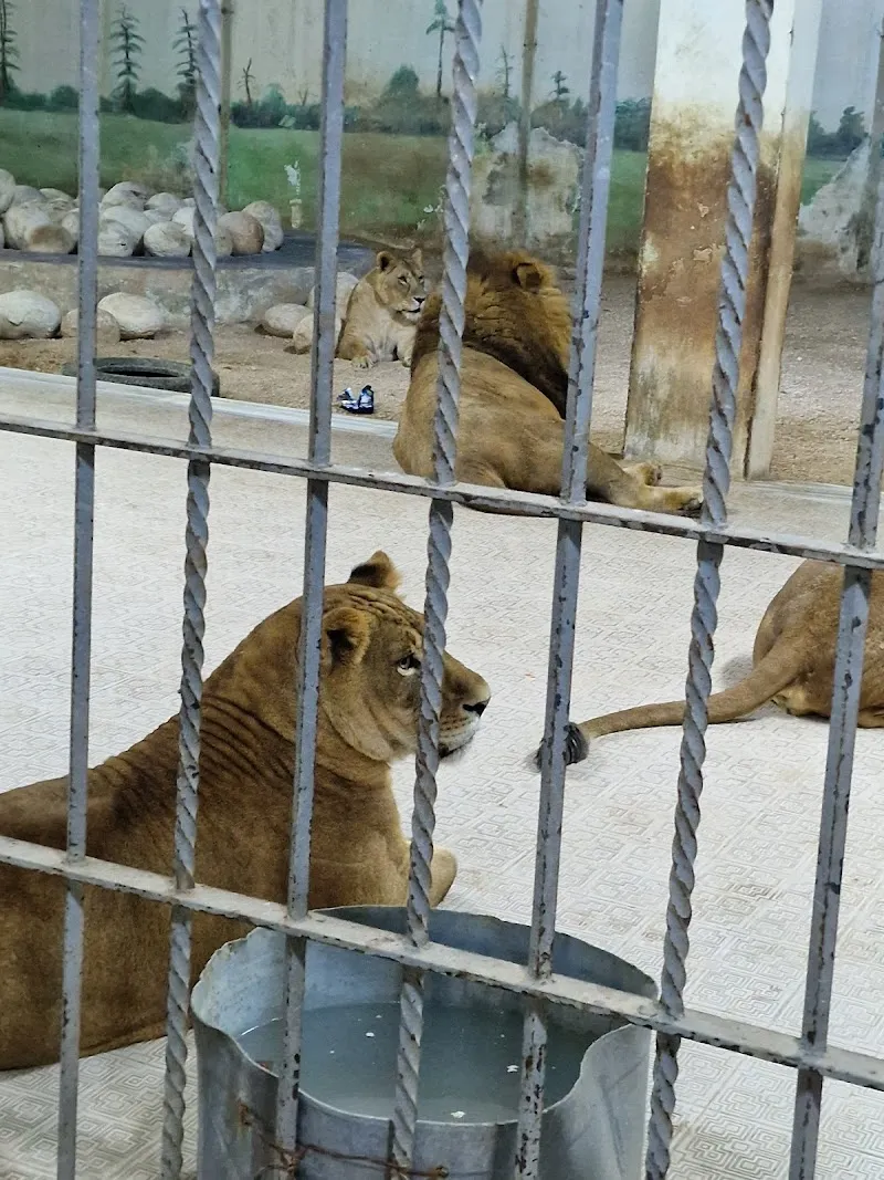 The Jordan Zoo zoo in Amman, AM