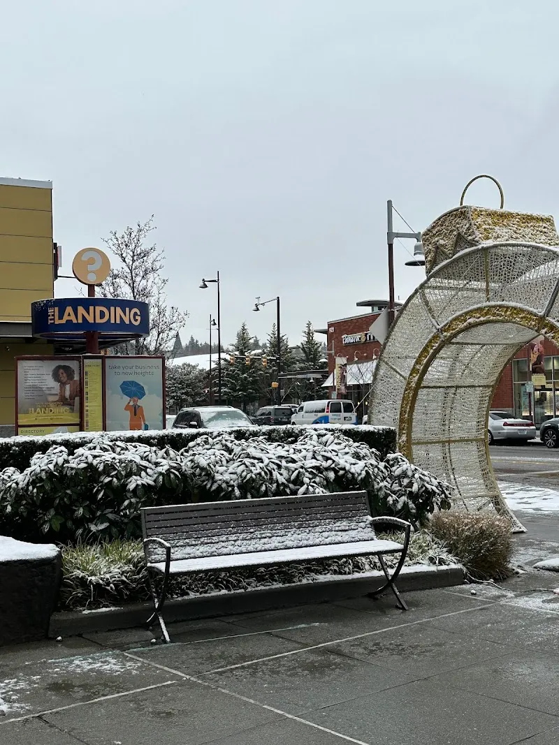 The Landing neighborhood in Renton, WA