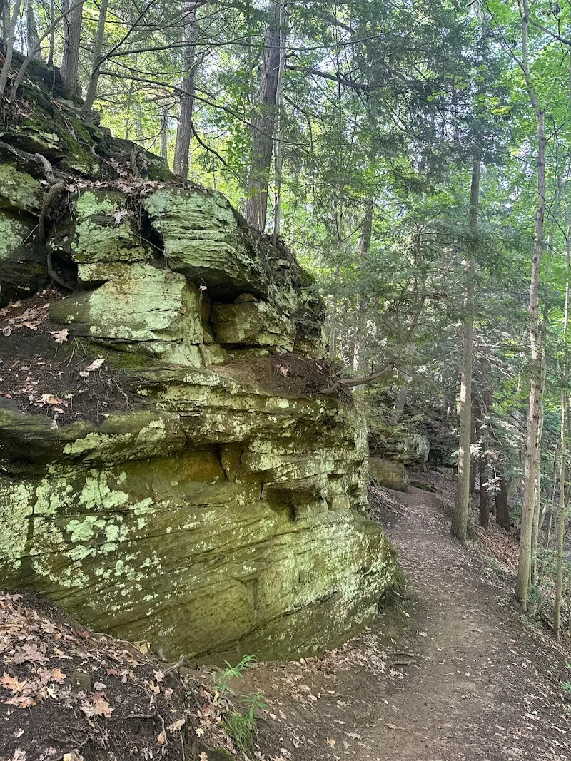 The Ledges Trail - East Trailhead hiking area in DeWitt, MI