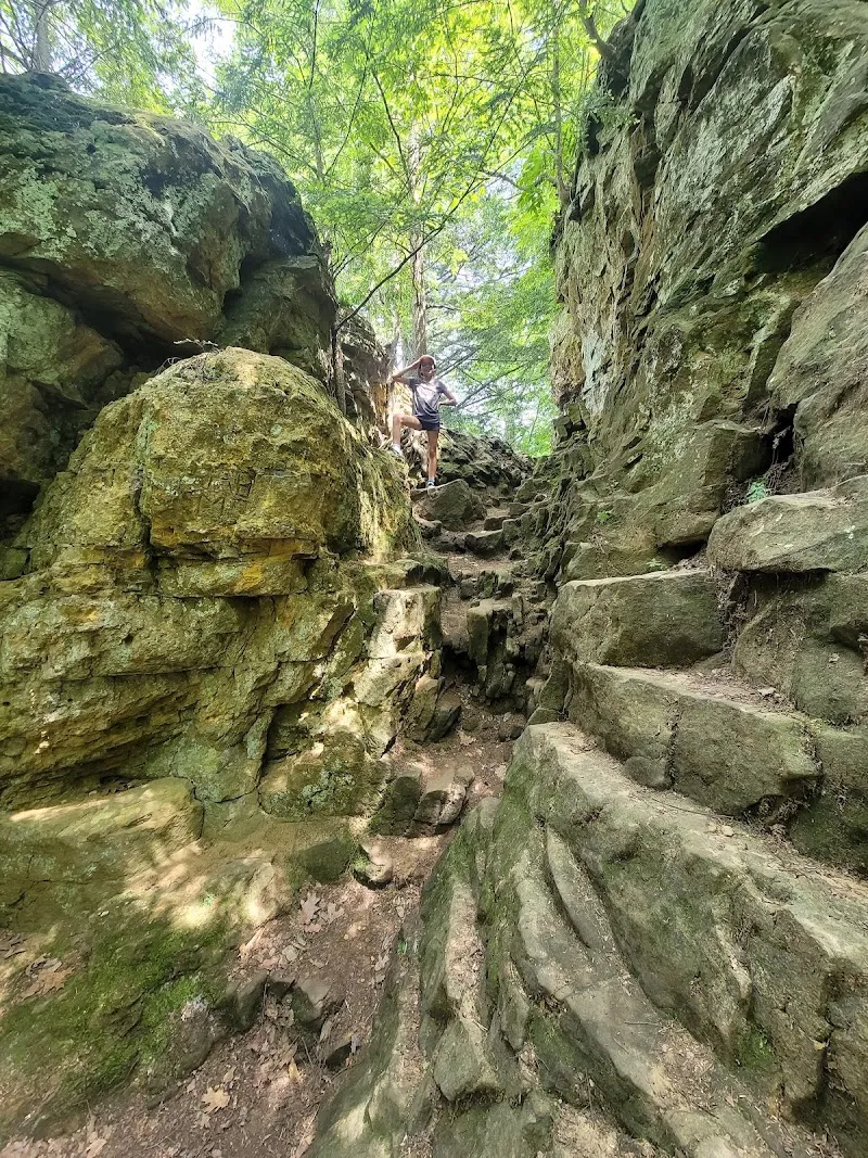 The Ledges Trail - West Trailhead hiking area in Potterville, MI