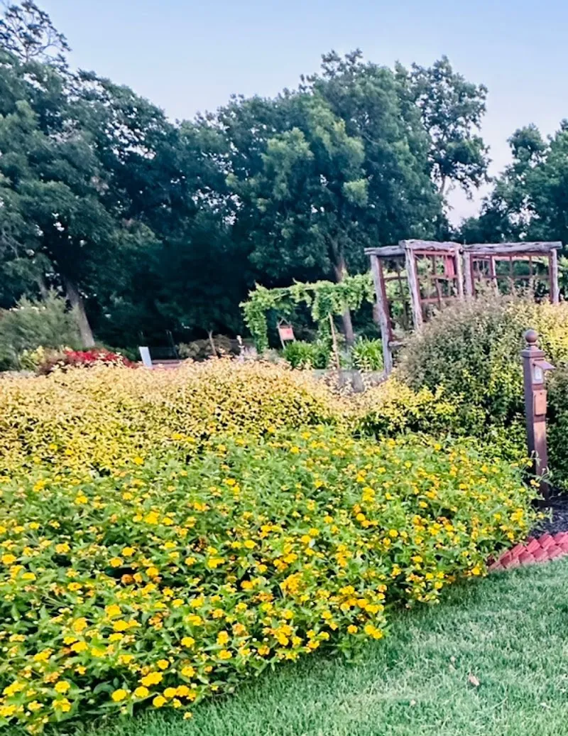 The Rose Gardens of Farmers Branch garden in Farmers Branch, TX