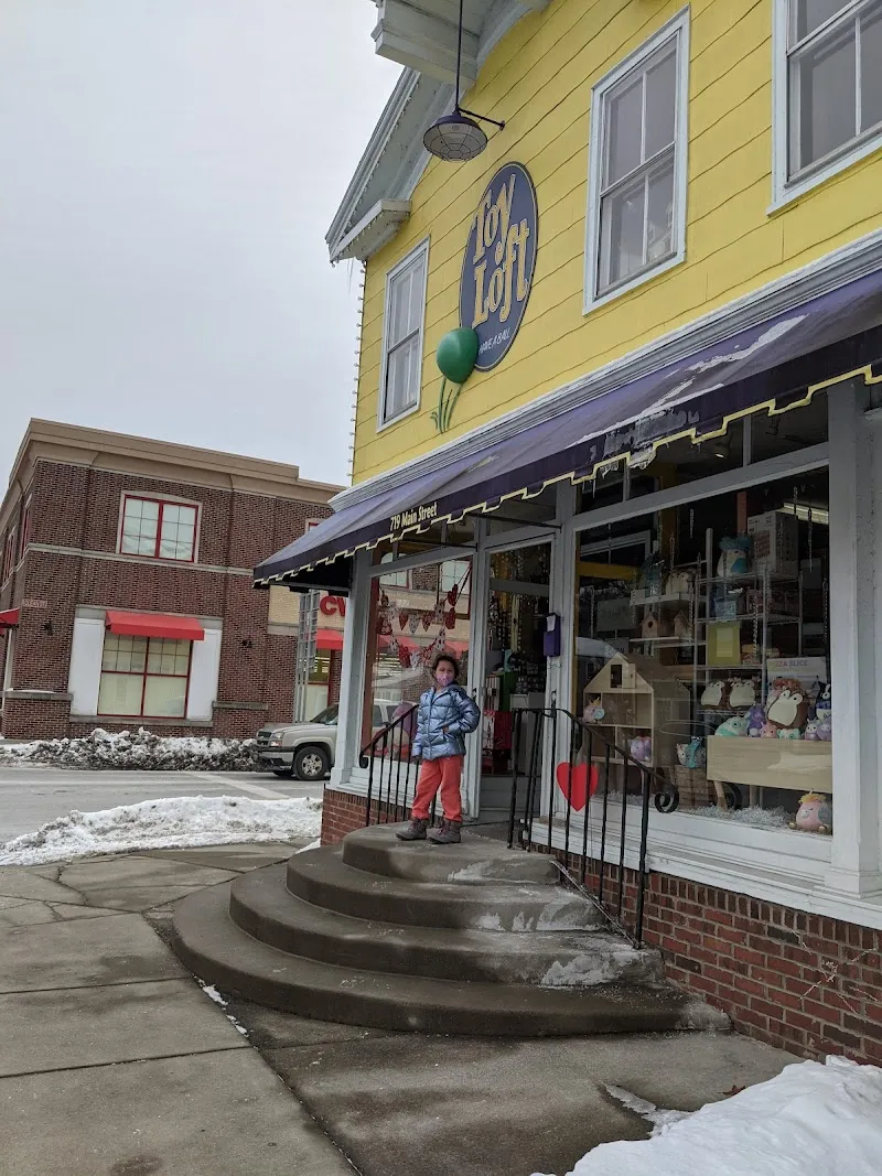 The Toy Loft toy store in East Aurora, NY