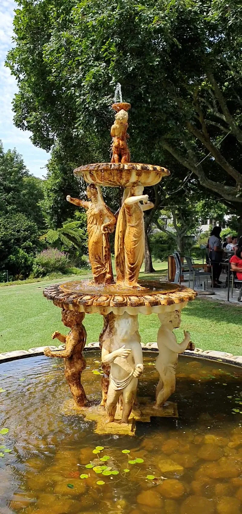 The Vineyard hotel in Newlands, WC