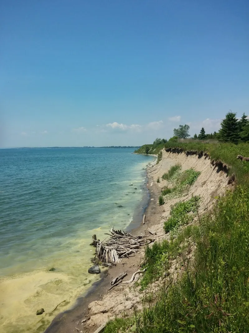 Thicksons Woods park in Whitby, ON