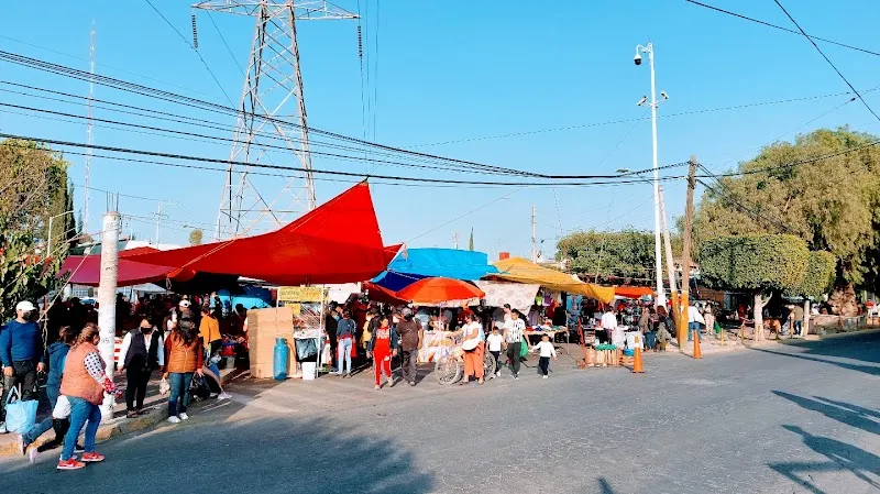 Tianguis Texcoco market in Texcoco, Edomex