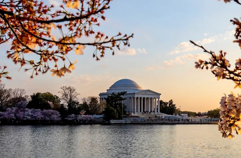 Tidal Basin natural feature in Washington DC, DC