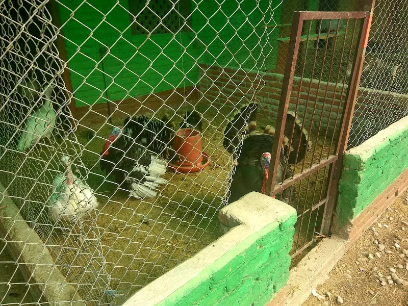 Tiger Lily Petting farm farm in Bhaktapur, Bagmati