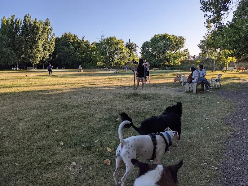 Toad Hollow Dog Park dog park in Land Park, CA