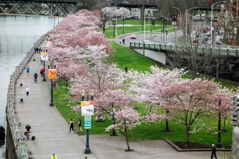 Tom McCall Waterfront Park city park in Portland, OR