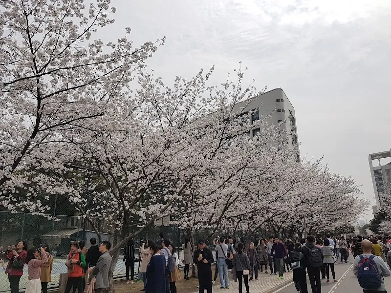 Tongji University university in Putuo, SH