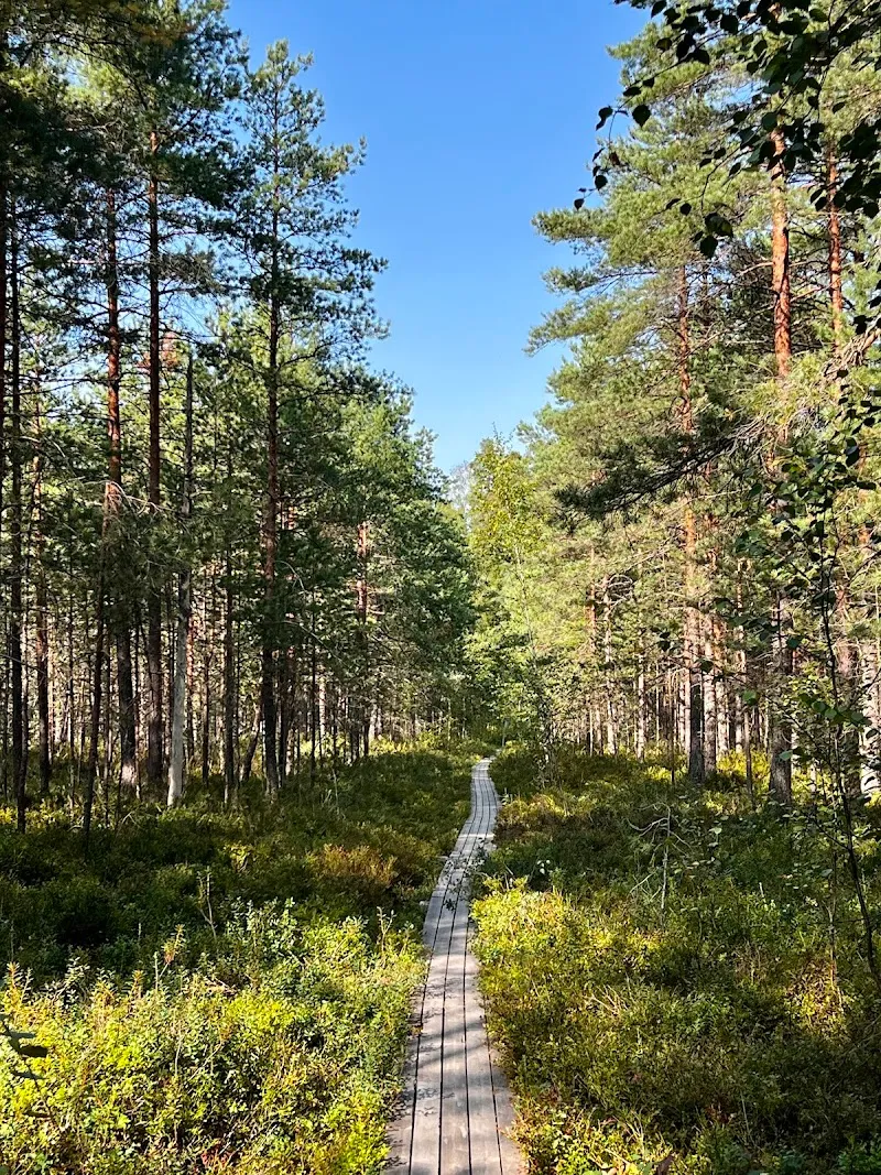 Träskmossen nature trail hiking area in Kauniainen, Uusimaa