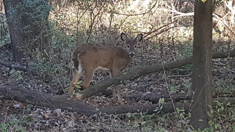 Trail Park park in Urbandale, IA