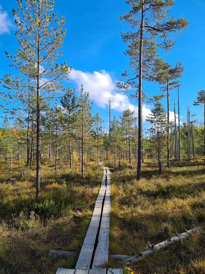 Tremanskärr Nature Trail hiking area in Matinkylä, Uusimaa