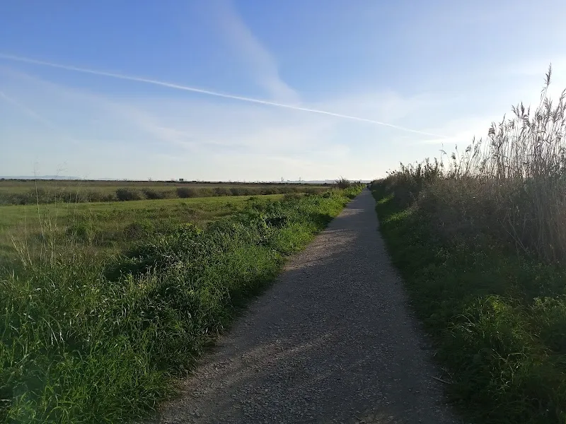 Trilho da Comporta outdoor adventure in Montijo, Montijo