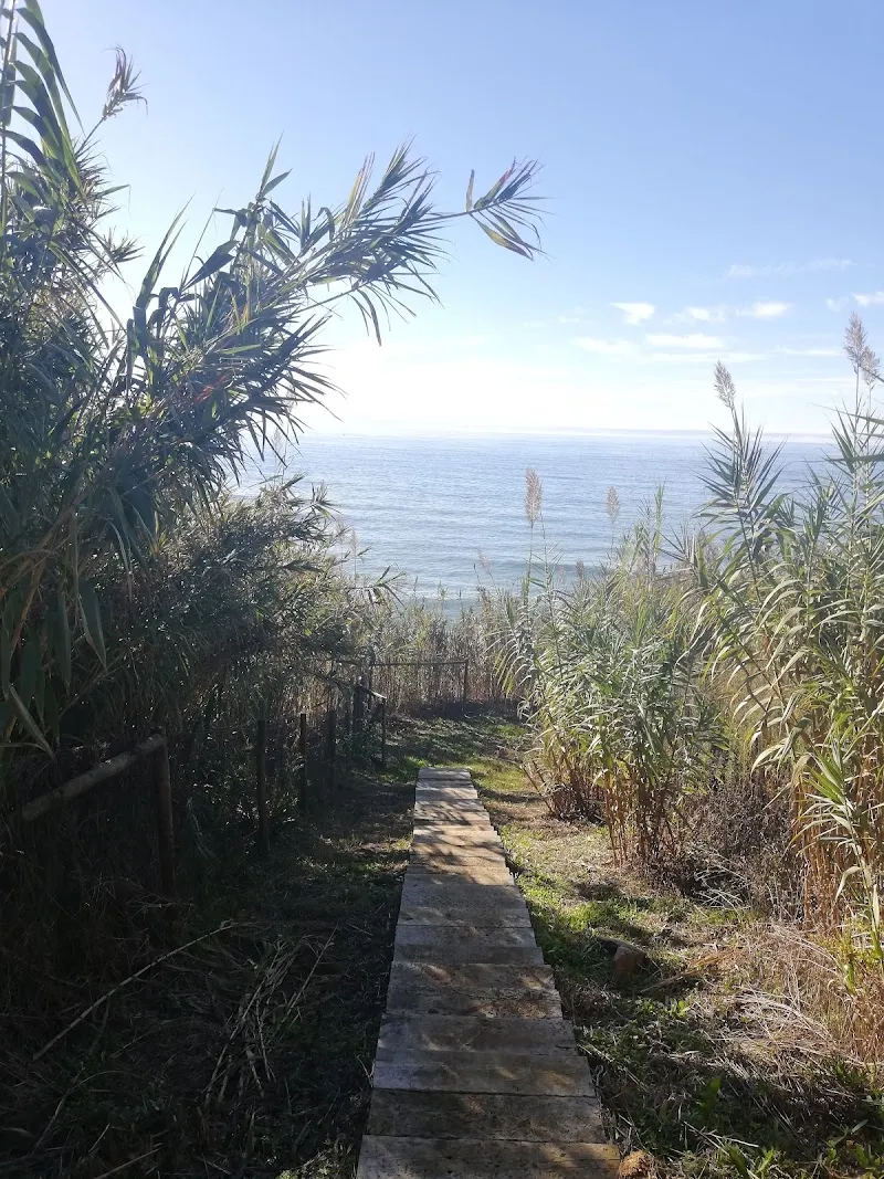 Trilho dos Coxos hiking area in Ericeira, Mafra